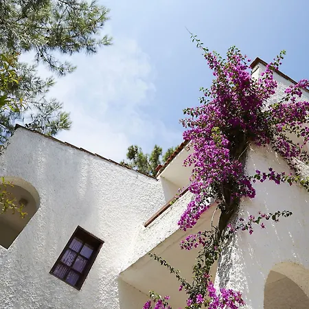 Isla Panorama マルマリス